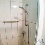 Pál - Premium - *