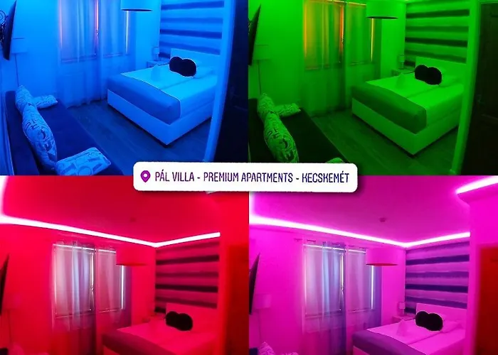 Pal - Premium - *
